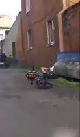17262810373780.mp4