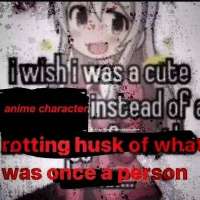 17495520662530.jpg