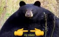 16932467475920.jpg