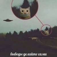 17195928190480.webp