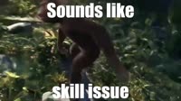 SkillIssue.mp4