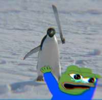b6x0yp2f6n8f1.jpeg