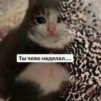 zgqTd6.jpg