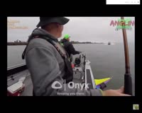 16951903873270.mp4