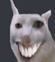 17273520332500.jpg