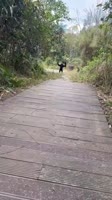 17492874672550.mp4