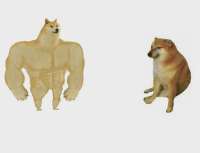 buff-doge-vs-cheems-meme-template-full-40ed139a.webp