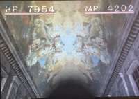 IMG-6344.jpg