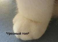 1749390815745.png