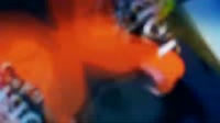 17472613313450.mp4