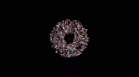 17476808949690.webm