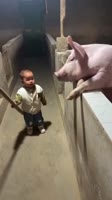 1736691724297113609fa55e2521080x1920.mp4
