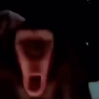 16799818692850.mp4