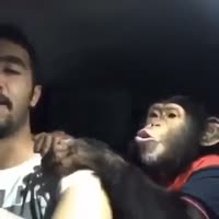 16814122875890.mp4