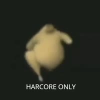 17288893488730.mp4