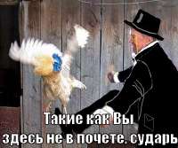 1700522587935.png