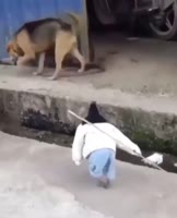 17481629032520.mp4