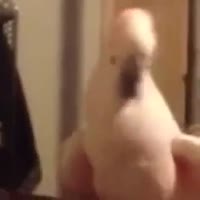 15122065741220.mp4