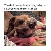 1578830589267.jpg