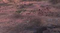 Kenshi 1.0.68 - x64 (Newland) 08.07.2025 24232.png