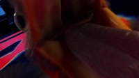 136574.mp4