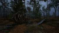 S.T.A.L.K.E.R. 2  Heart of Chornobyl Screenshot 2024.11.24 - 17.04.55.37.jpg