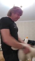 17384388376820.mp4