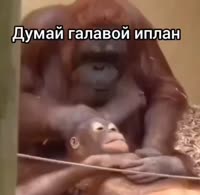 3-43.mp4