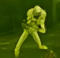 17492290648190.webm