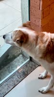 причина тряски.mp4