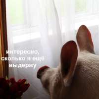 17041789561810.jpg