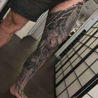 1647264413218.webp