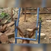 16914087459880.mp4
