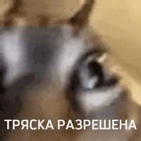тряска-разрешена-причина-тряски.gif