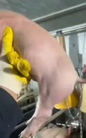 1748461704903482.webm