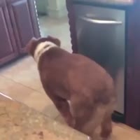 16086530557713.webm
