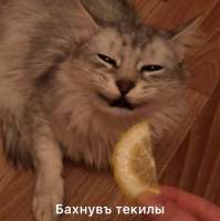 17501014566660.jpg