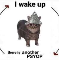 e724fffd779cf8ea9451211eb18226d71f62a143e23aa11006f856f4aef24c801.jpg