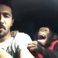 16814122875890.mp4