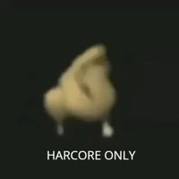 17288893488730.mp4