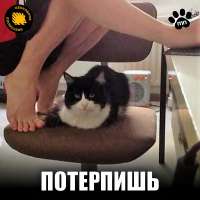 475364034180575329074950251405266053381921197nproc.jpg