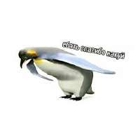 images.jpg