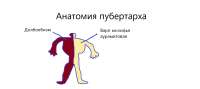 17249068792070.png