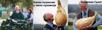 изображение.png