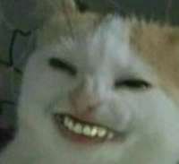 8B98f6lDIdijPFoVcjk213YcewQzJO7gmZb80spZXwrrrdezbK7PU3r7n8ErpJDDQhksqWfMtwpsiyLhKDI7NIPyjpHWbYpigRHz4jOsdjUGZHJmb24UVNwFxIICpSeP7zCkRdRv7UvArXdVxpvATY7hmNRPBOkhNK4VvXOE55kEFb8rEkGSdbJjD8dnFwKCFm3o2Tdz-i.webp