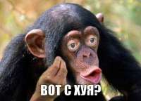 gihbEmAomHkQa8YsW5YRNFwoschbPjn4TQ2fn9OYKqrofxoEKlaNVvCh3KySLey0AE5yzzFzuKmhvAG203qiCdTpnbnBjzeOGv4xVaiTWxy3QAeDGuHUvuAmojenoHaE.jpeg