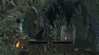 Dark Souls II Screenshot 2022.02.13 - 17.27.11.35.png