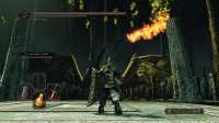 DarkSoulsII 2014-10-06 21-35-52-22.jpg