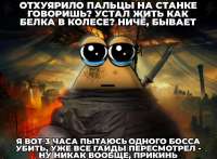 1750992060.jpg