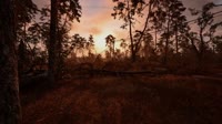 S.T.A.L.K.E.R. 2  Heart Of Chornobyl 2024.12.20 - 16.18.23.07.mp4